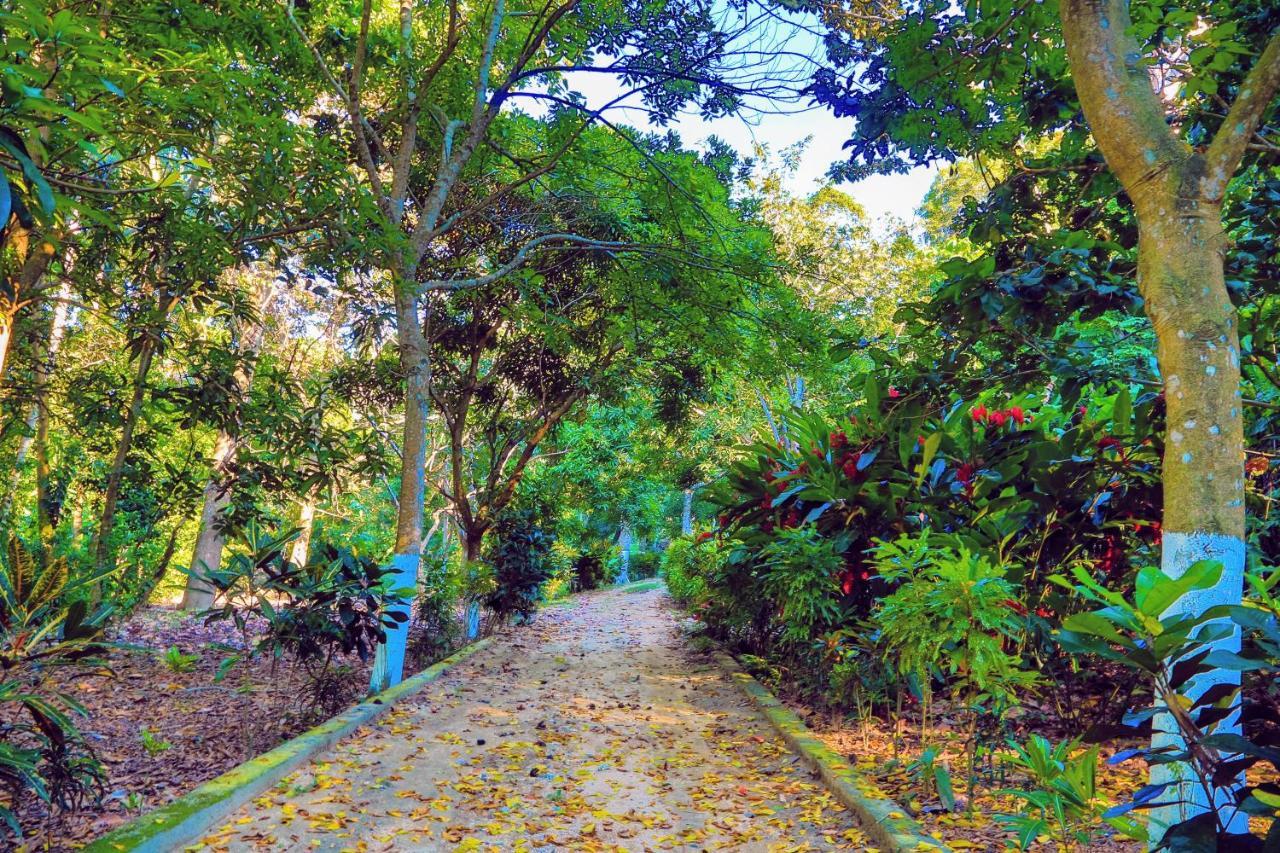 Villa Maria Tayrona, Jungle And Sea Experience Los Naranjos Exterior photo