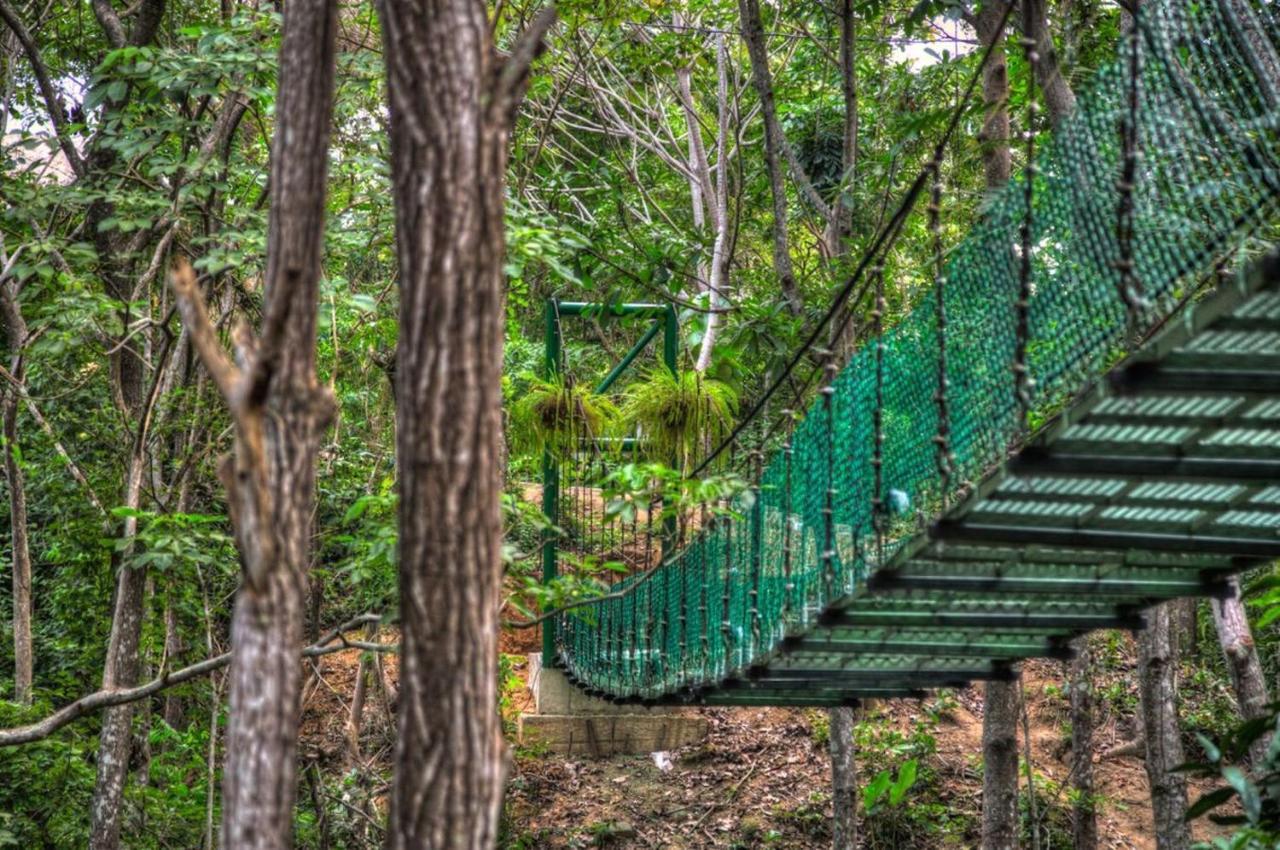 Villa Maria Tayrona, Jungle And Sea Experience Los Naranjos Exterior photo