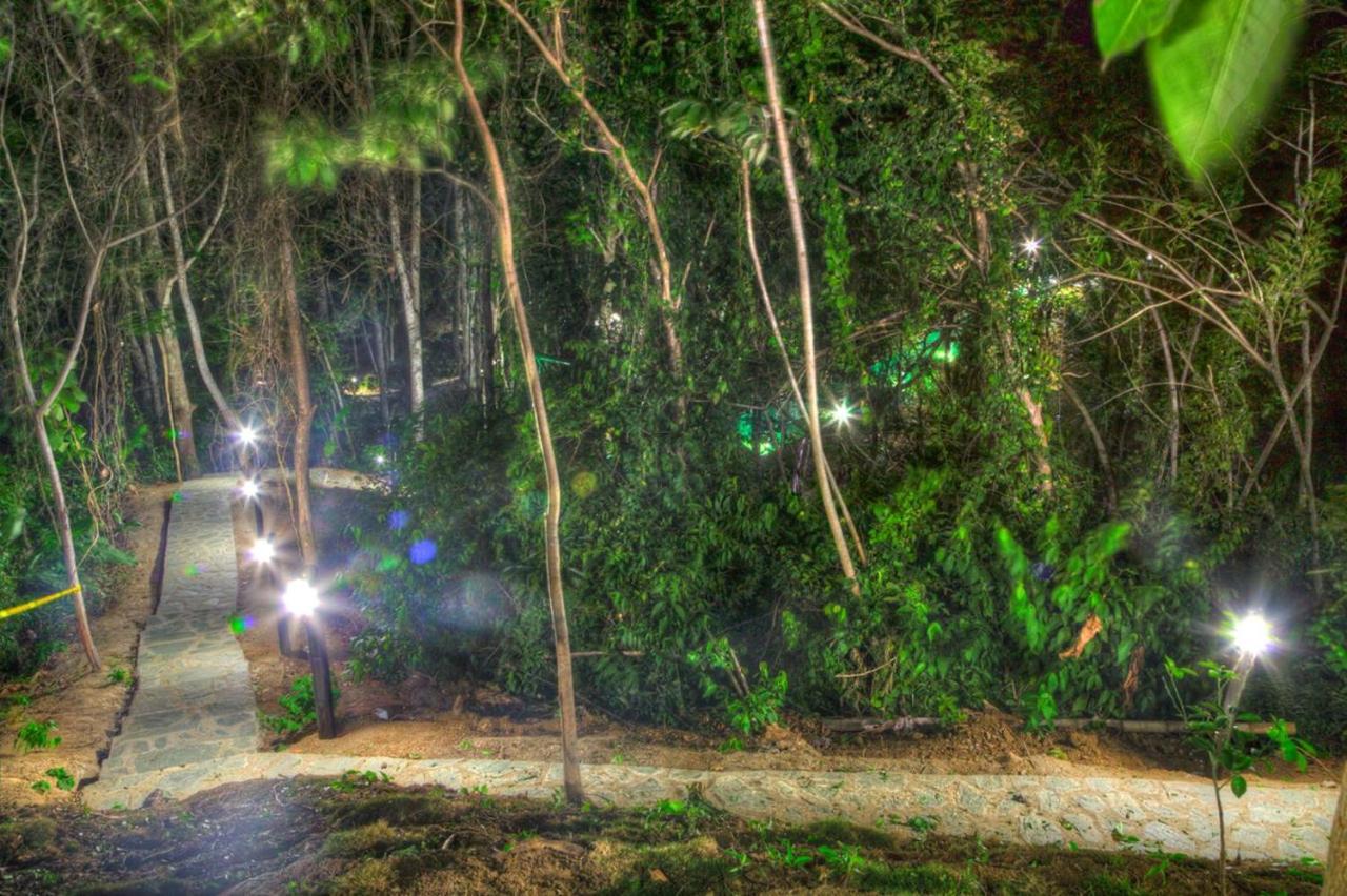 Villa Maria Tayrona, Jungle And Sea Experience Los Naranjos Exterior photo