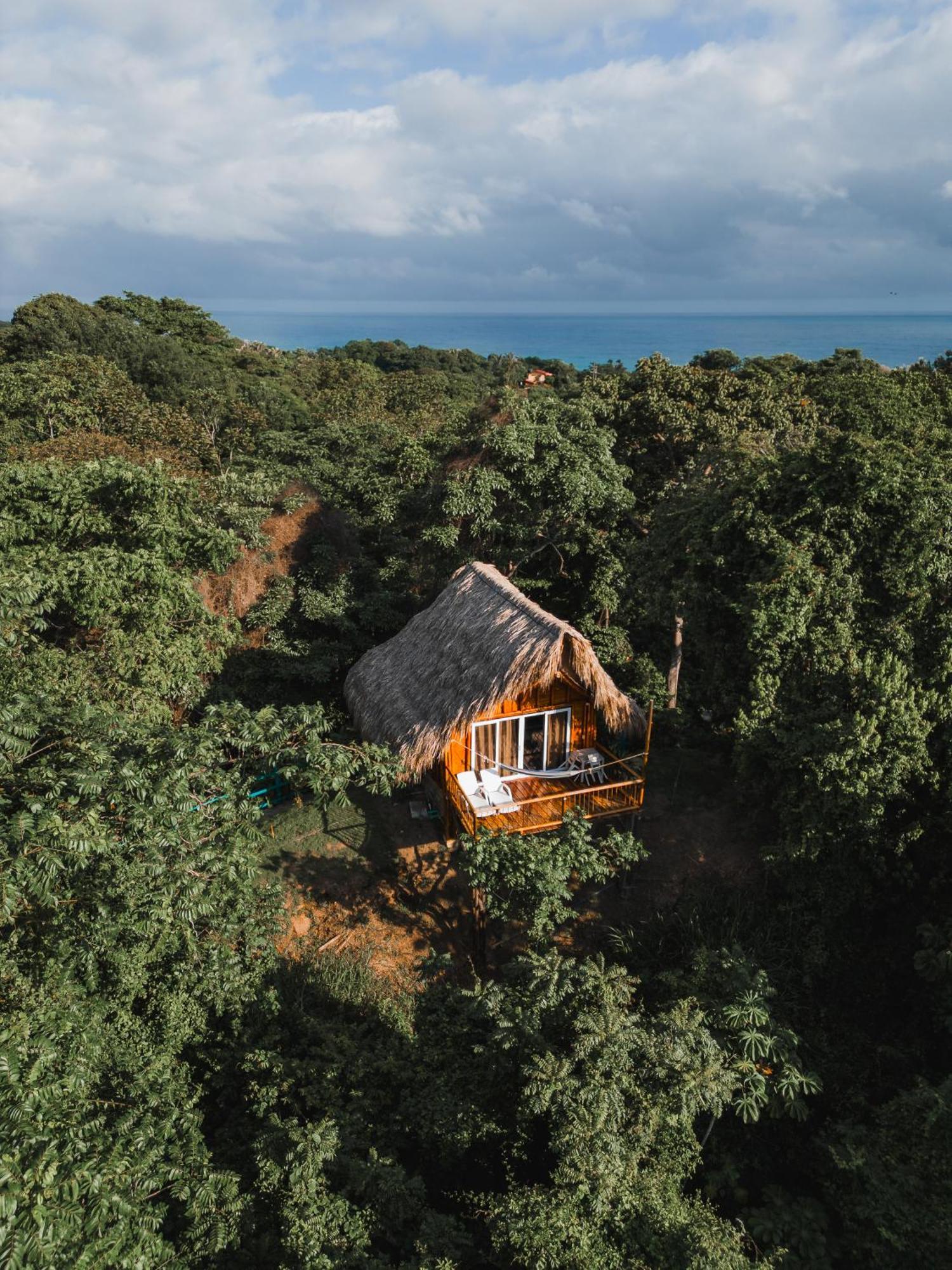 Villa Maria Tayrona, Jungle And Sea Experience Los Naranjos Exterior photo