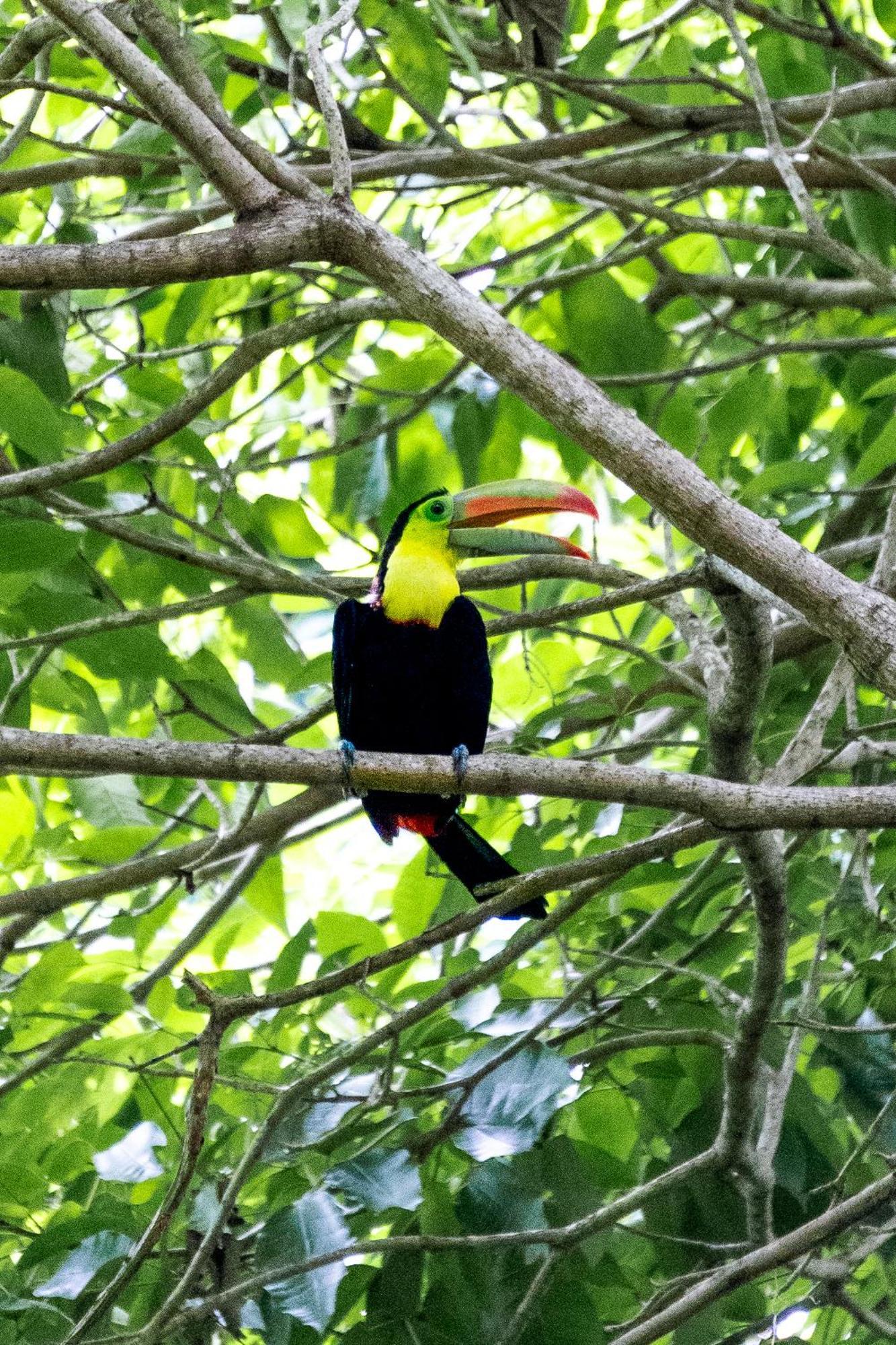 Villa Maria Tayrona, Jungle And Sea Experience Los Naranjos Exterior photo