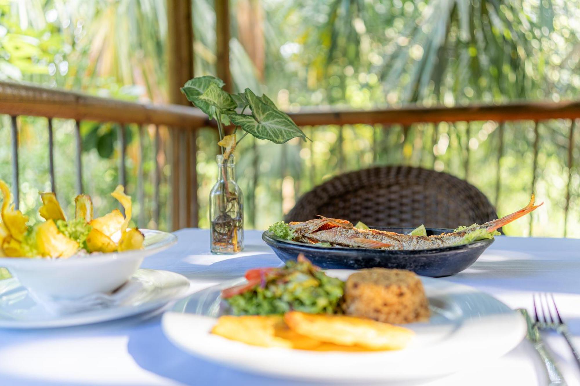 Villa Maria Tayrona, Jungle And Sea Experience Los Naranjos Exterior photo